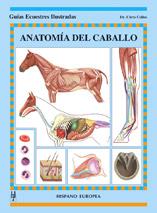 ANATOMÍA DEL CABALLO | 9788425515736 | COLLES, CHRIS | Llibreria Online de Tremp