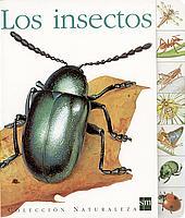 INSECTOS, LOS | 9788434889408 | VARIOS AUTORES, | Llibreria Online de Tremp