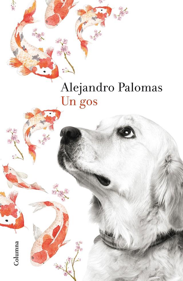 UN GOS | 9788466420426 | ALEJANDRO PALOMAS | Llibreria Online de Tremp