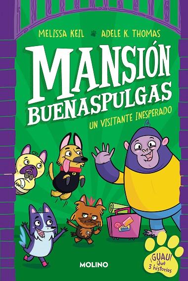 MANSIÓN BUENASPULGAS 1 - UN VISITANTE INESPERADO | 9788427233324 | KEIL, MELISSA | Llibreria Online de Tremp