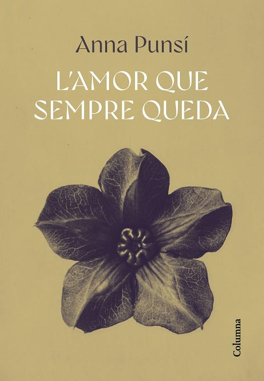 L'AMOR QUE SEMPRE QUEDA | 9788466432382 | PUNSÍ LLADÓ, ANNA | Llibreria Online de Tremp