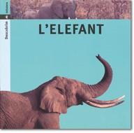 ELEFANT, L' | 9788424602734 | ARANEGA, SUSANNA ; PORTELL, JOAN | Llibreria Online de Tremp