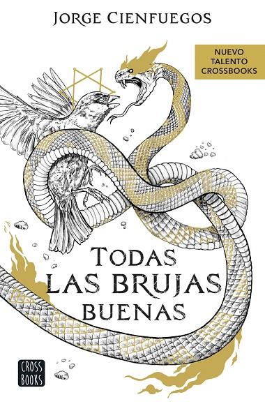 TODAS LAS BRUJAS BUENAS | 9788408260066 | CIENFUEGOS, JORGE | Llibreria Online de Tremp