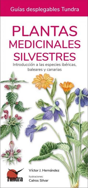 PLANTAS MEDICINALES SILVESTRES | 9788418458538 | VICTOR HERNANDEZ | Llibreria Online de Tremp