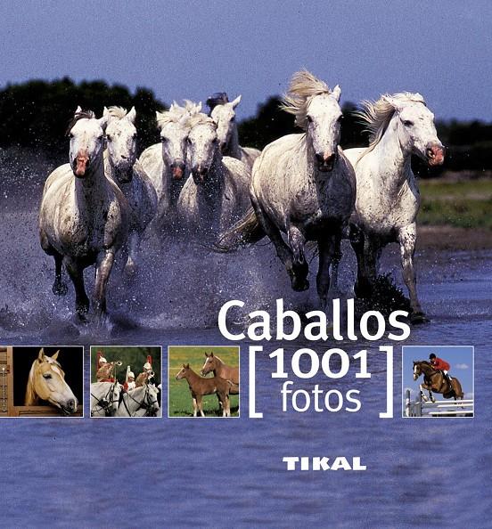 CABALLOS | 9788499280875 | Llibreria Online de Tremp