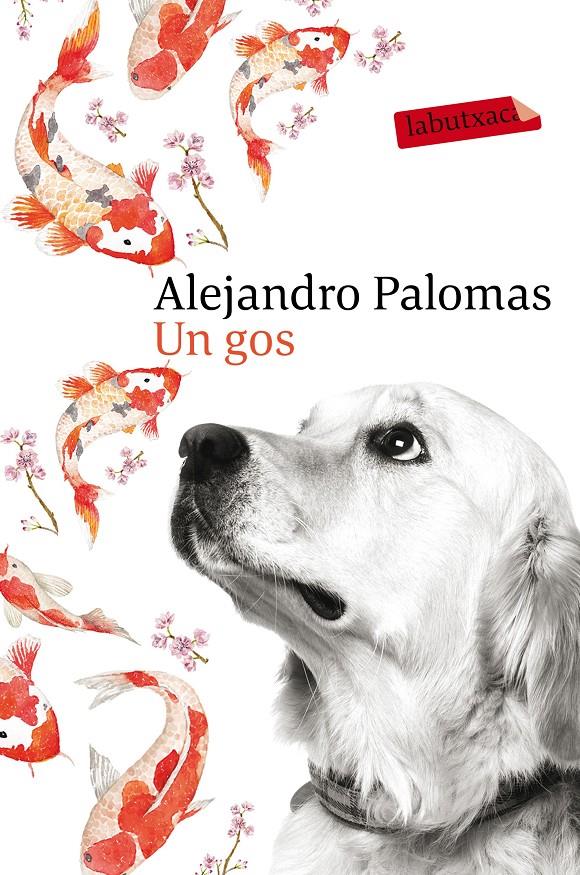 UN GOS | 9788416600625 | ALEJANDRO PALOMAS | Llibreria Online de Tremp