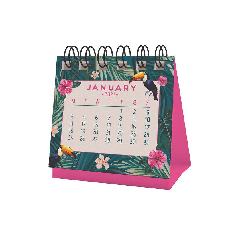 MICRO CALENDARI 2021 TROPICAL DREAM | 8059174837914 | Llibreria Online de Tremp