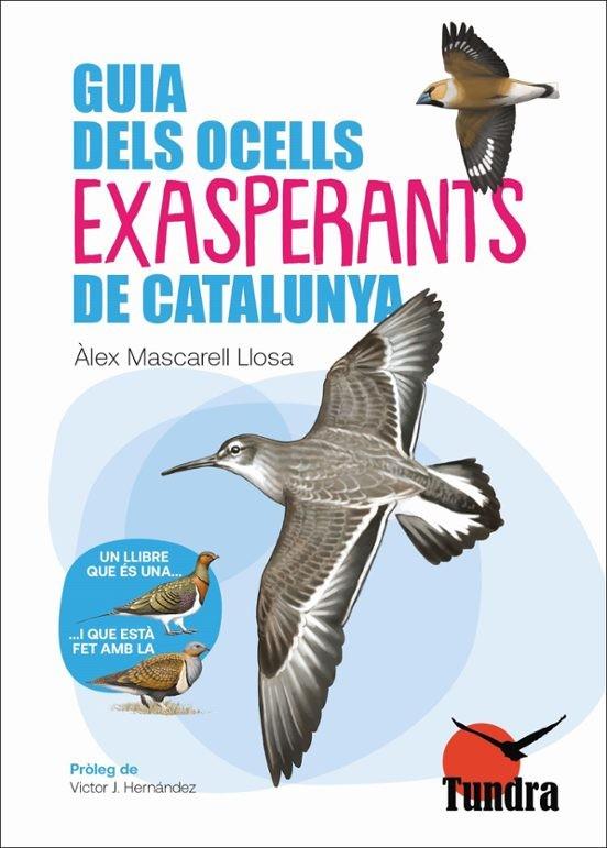 GUIA DELS OCELLS EXASPERANTS DE CATALUNYA | 9788419624802 | ALEX MASCARELL | Llibreria Online de Tremp