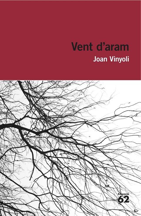 VENT D'ARAM | 9788415954248 | JOAN VINYOLI PLADEVALL | Llibreria Online de Tremp