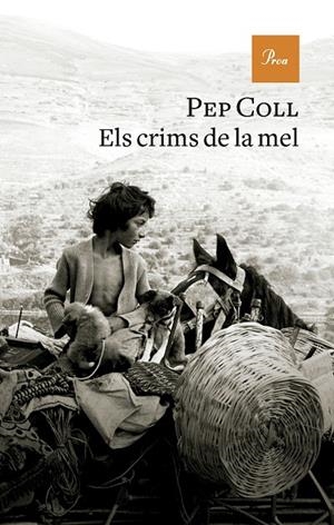 ELS CRIMS DE LA MEL | 9788419657930 | COLL, PEP | Llibreria Online de Tremp